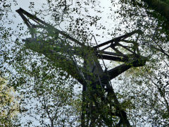 
Nine Mile Point Colliery  aerial ropeway pylon 2, October 2012